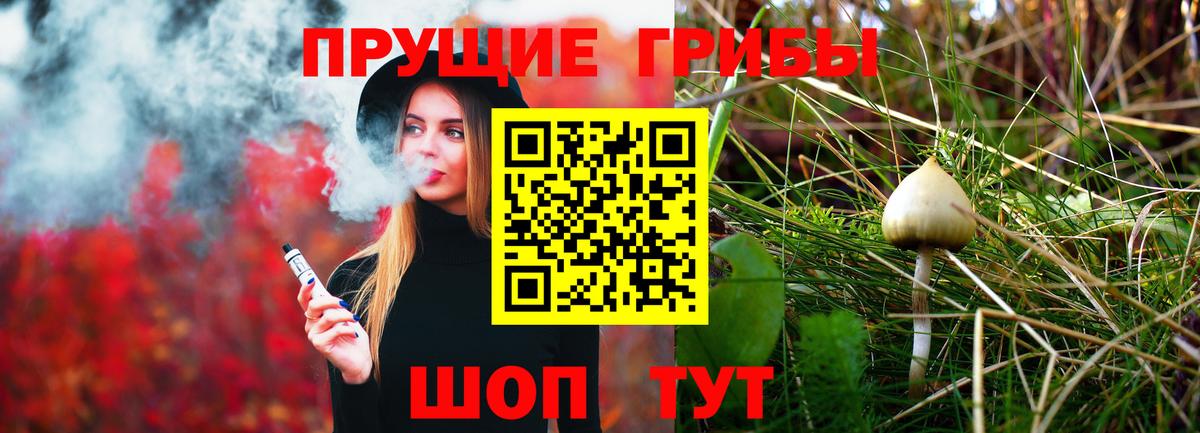 Псилоцибиновые грибы мухоморы  Вход с VPN  Мурино 